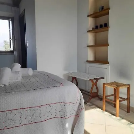 Olive Tree Farmstay Affittacamere Lamporecchio
